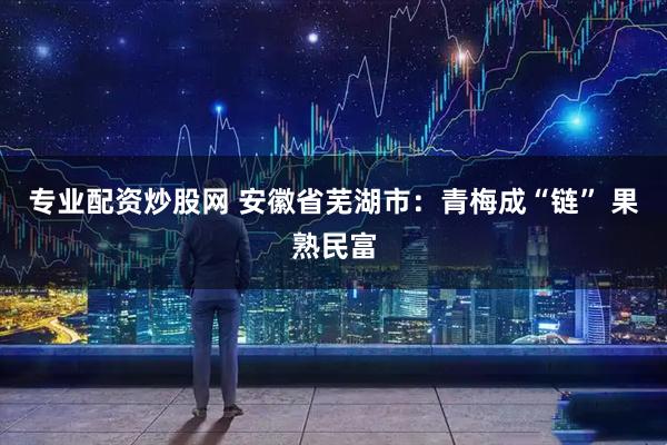 专业配资炒股网 安徽省芜湖市：青梅成“链” 果熟民富