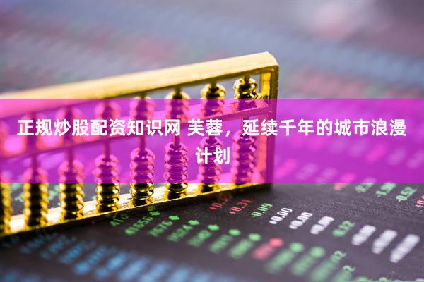 正规炒股配资知识网 芙蓉，延续千年的城市浪漫计划