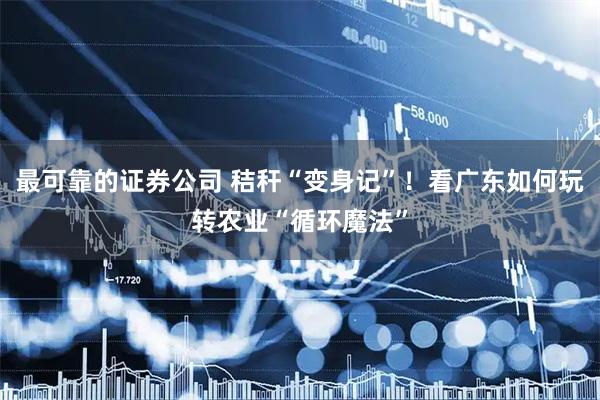 最可靠的证券公司 秸秆“变身记”！看广东如何玩转农业“循环魔法”